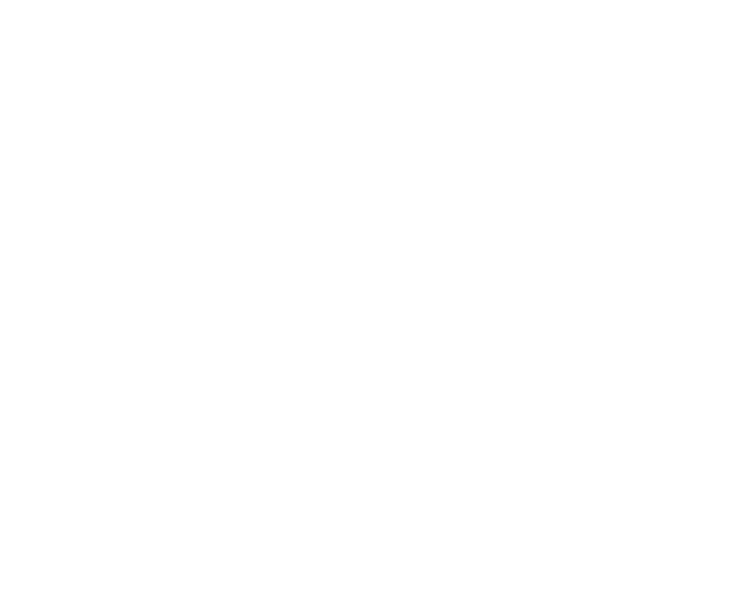 Peru Tech Week, Aliado